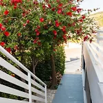 Heksamil 4*